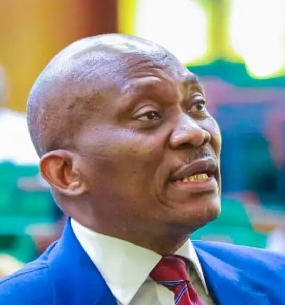 Ndudi Elumelu